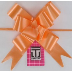 Laço Pronto Liso 1,5cm X 27cm - 01 PT C/10